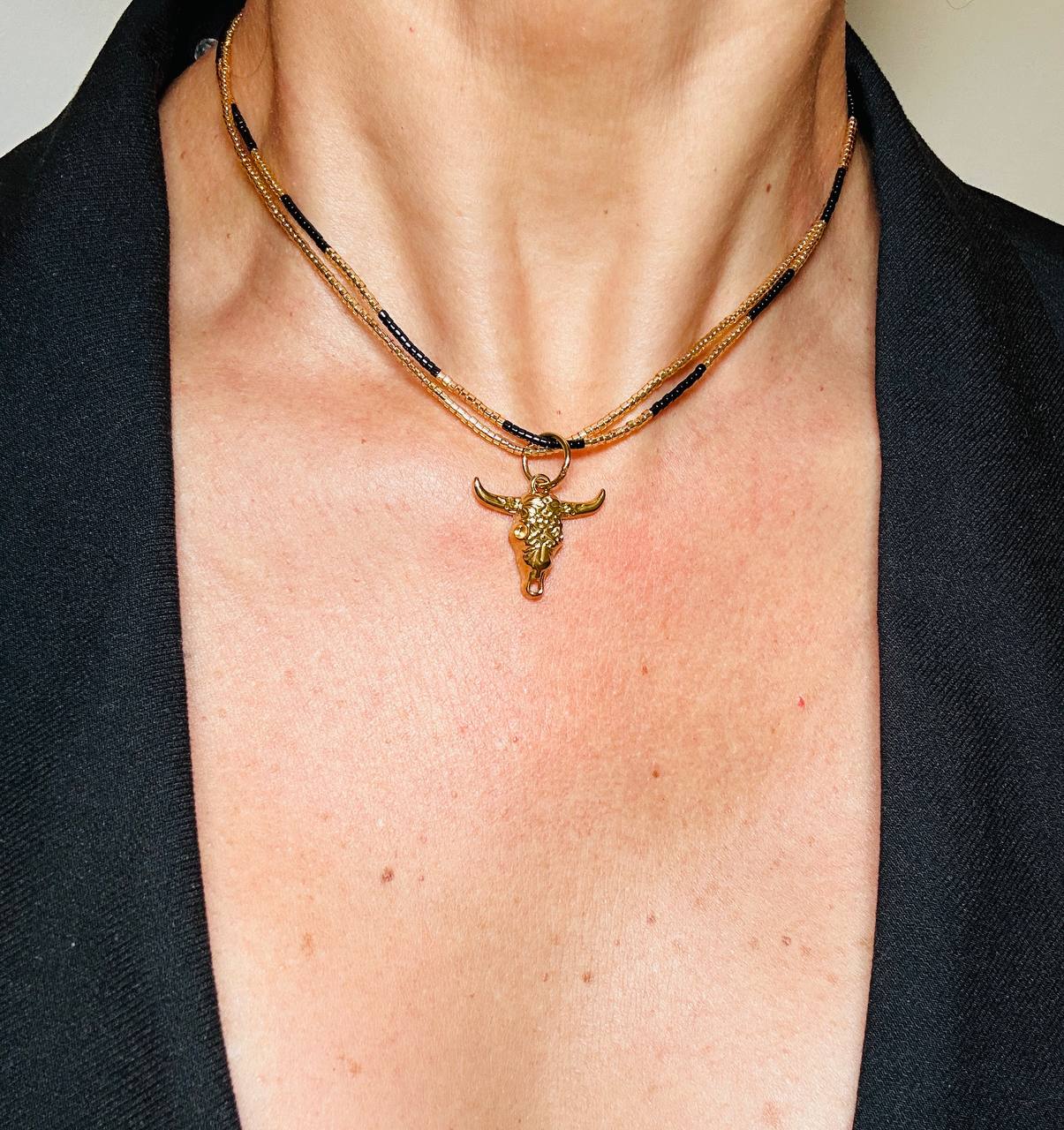 Adjustable Double Necklace and Steel Charm